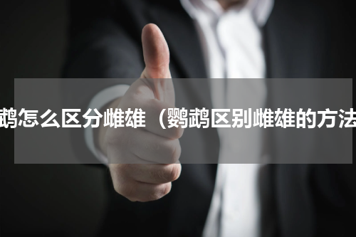 鹦鹉怎么区分雌雄（鹦鹉区别雌雄的方法）