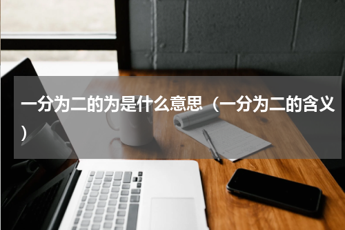 一分为二的为是什么意思（一分为二的含义）