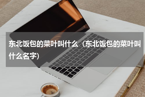东北饭包的菜叶叫什么（东北饭包的菜叶叫什么名字）