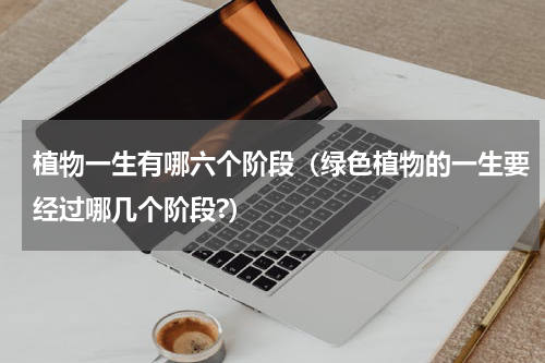 植物一生有哪六个阶段（绿色植物的一生要经过哪几个阶段?）