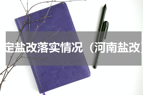 保定盐改落实情况（河南盐改）