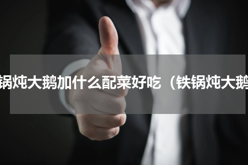 铁锅炖大鹅加什么配菜好吃（铁锅炖大鹅）