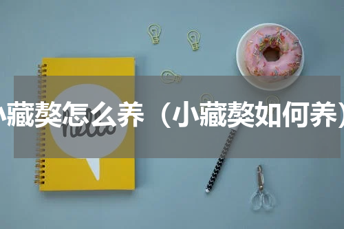 小藏獒怎么养（小藏獒如何养）