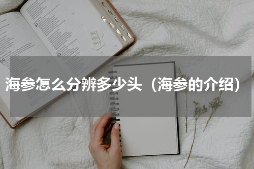 海参怎么分辨多少头（海参的介绍）