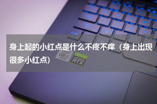 身上起的小红点是什么不疼不痒（身上出现很多小红点）
