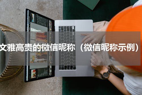 文雅高贵的微信昵称（微信昵称示例）