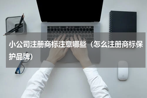 小公司注册商标注意哪些（怎么注册商标保护品牌）