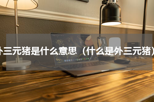 外三元猪是什么意思（什么是外三元猪）