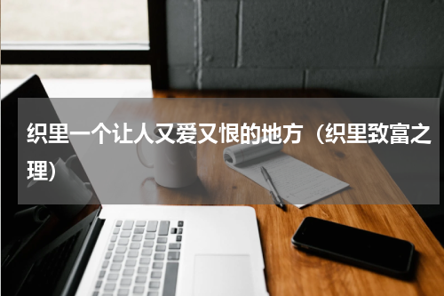 织里一个让人又爱又恨的地方（织里致富之理）