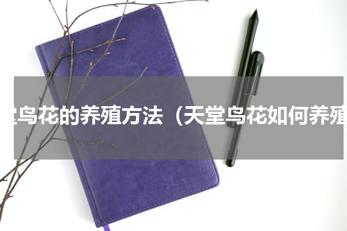 天堂鸟花的养殖方法（天堂鸟花如何养殖）