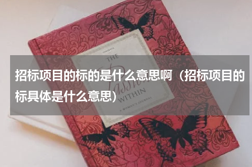 招标项目的标的是什么意思啊（招标项目的标具体是什么意思）