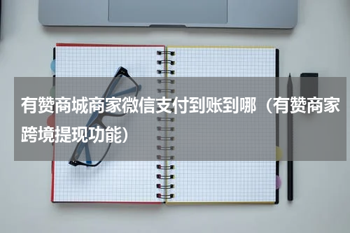 有赞商城商家微信支付到账到哪（有赞商家跨境提现功能）