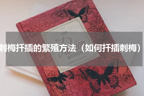 刺梅扦插的繁殖方法（如何扦插刺梅）