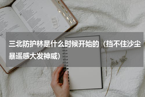 三北防护林是什么时候开始的（挡不住沙尘暴遥感大发神威）