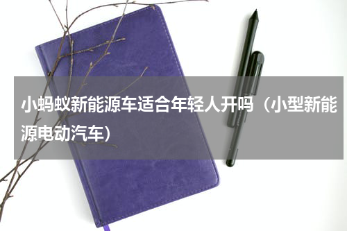 小蚂蚁新能源车适合年轻人开吗（小型新能源电动汽车）