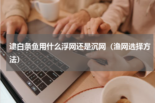 逮白条鱼用什么浮网还是沉网（渔网选择方法）