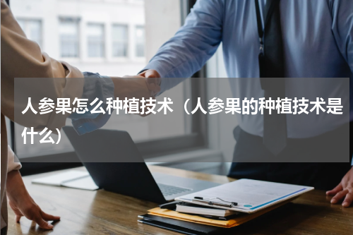 人参果怎么种植技术（人参果的种植技术是什么）