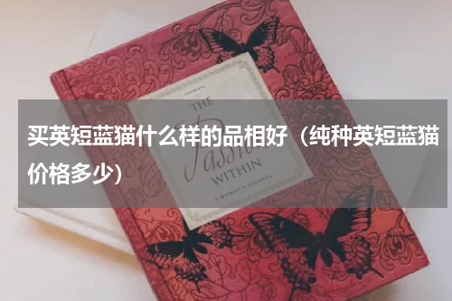 买英短蓝猫什么样的品相好（纯种英短蓝猫价格多少）