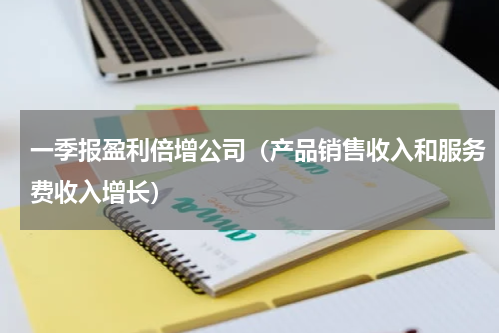 一季报盈利倍增公司（产品销售收入和服务费收入增长）