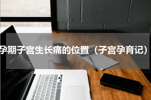 孕期子宫生长痛的位置（子宫孕育记）