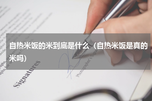自热米饭的米到底是什么（自热米饭是真的米吗）