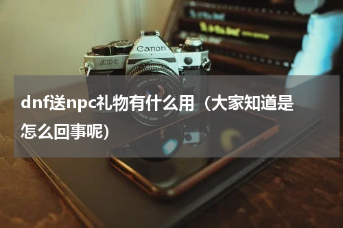 dnf送npc礼物有什么用（大家知道是怎么回事呢）