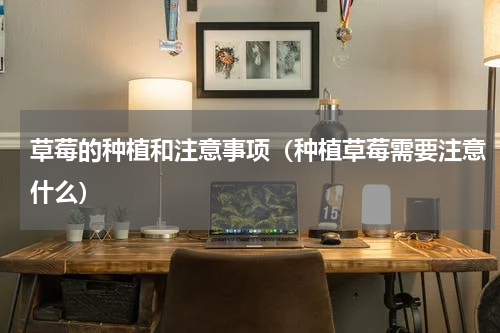 草莓的种植和注意事项（种植草莓需要注意什么）