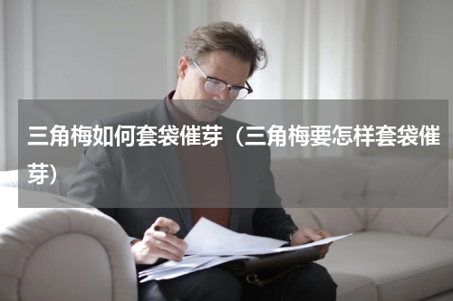 三角梅如何套袋催芽（三角梅要怎样套袋催芽）