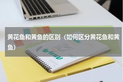黄花鱼和黄鱼的区别（如何区分黄花鱼和黄鱼）