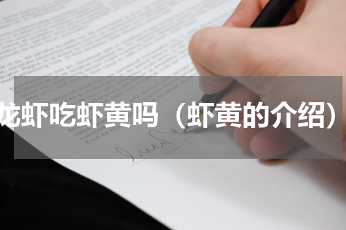 龙虾吃虾黄吗（虾黄的介绍）