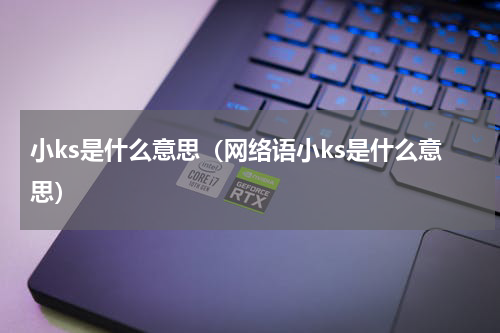 小ks是什么意思（网络语小ks是什么意思）