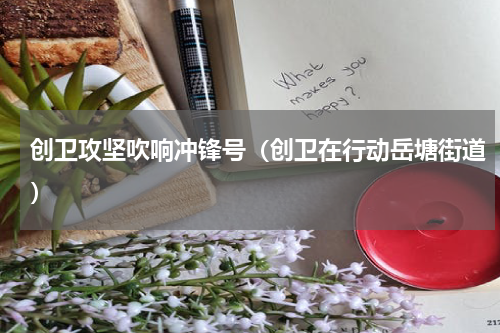 创卫攻坚吹响冲锋号（创卫在行动岳塘街道）