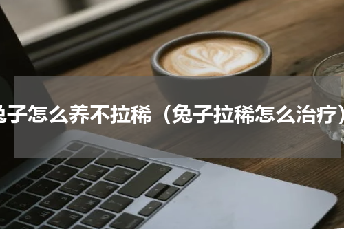 兔子怎么养不拉稀（兔子拉稀怎么治疗）