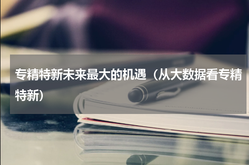 专精特新未来最大的机遇（从大数据看专精特新）