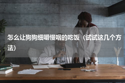 怎么让狗狗细嚼慢咽的吃饭（试试这几个方法）