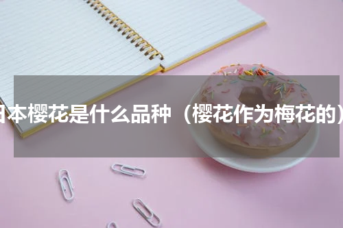 日本樱花是什么品种（樱花作为梅花的）