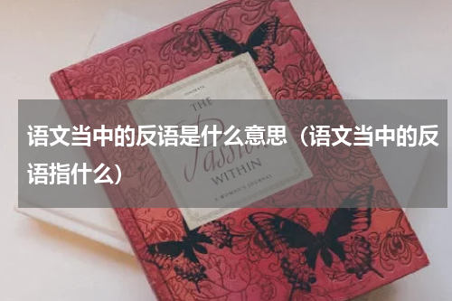 语文当中的反语是什么意思（语文当中的反语指什么）