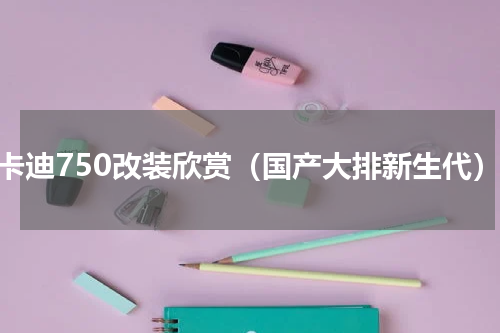 杜卡迪750改装欣赏（国产大排新生代）