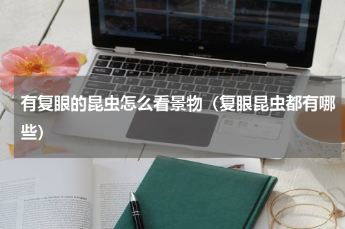 有复眼的昆虫怎么看景物（复眼昆虫都有哪些）