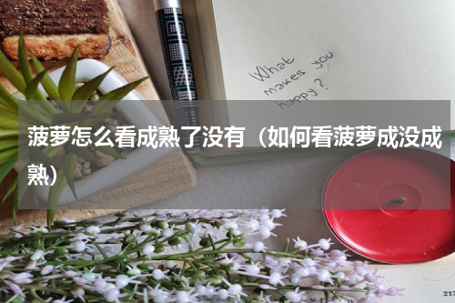菠萝怎么看成熟了没有（如何看菠萝成没成熟）