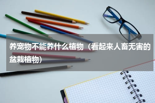 养宠物不能养什么植物（看起来人畜无害的盆栽植物）
