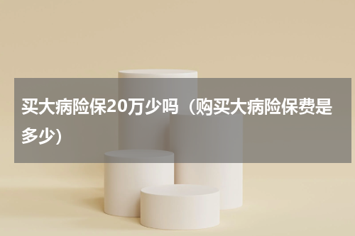 买大病险保20万少吗（购买大病险保费是多少）