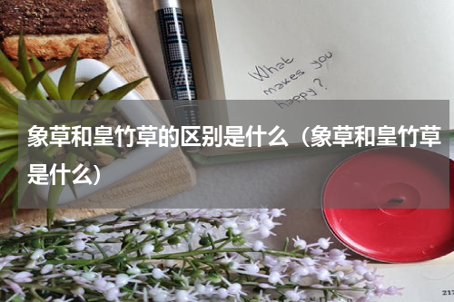 象草和皇竹草的区别是什么（象草和皇竹草是什么）