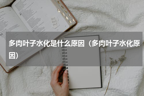 多肉叶子水化是什么原因（多肉叶子水化原因）