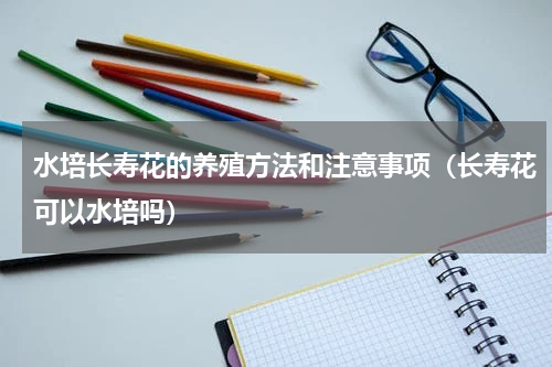 水培长寿花的养殖方法和注意事项（长寿花可以水培吗）