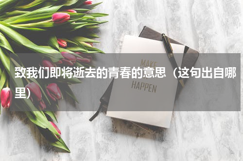 致我们即将逝去的青春的意思（这句出自哪里）