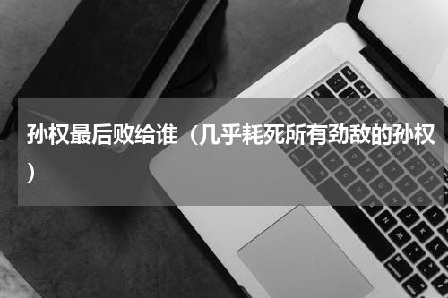 孙权最后败给谁（几乎耗死所有劲敌的孙权）