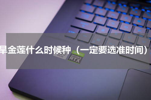 旱金莲什么时候种（一定要选准时间）