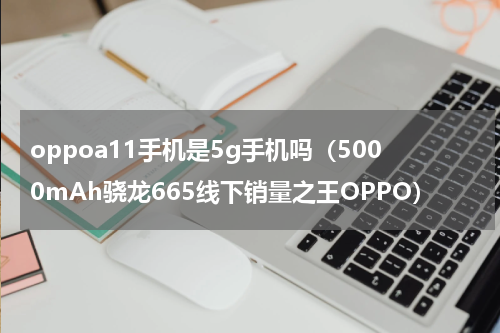 oppoa11手机是5g手机吗（5000mAh骁龙665线下销量之王OPPO）