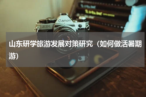 山东研学旅游发展对策研究（如何做活暑期游）